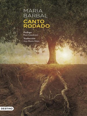 cover image of Canto rodado